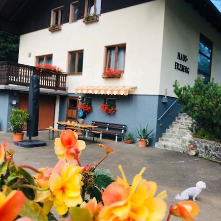 Bed and Breakfast Haus-Erzberg Vordernberg Exteriér fotografie