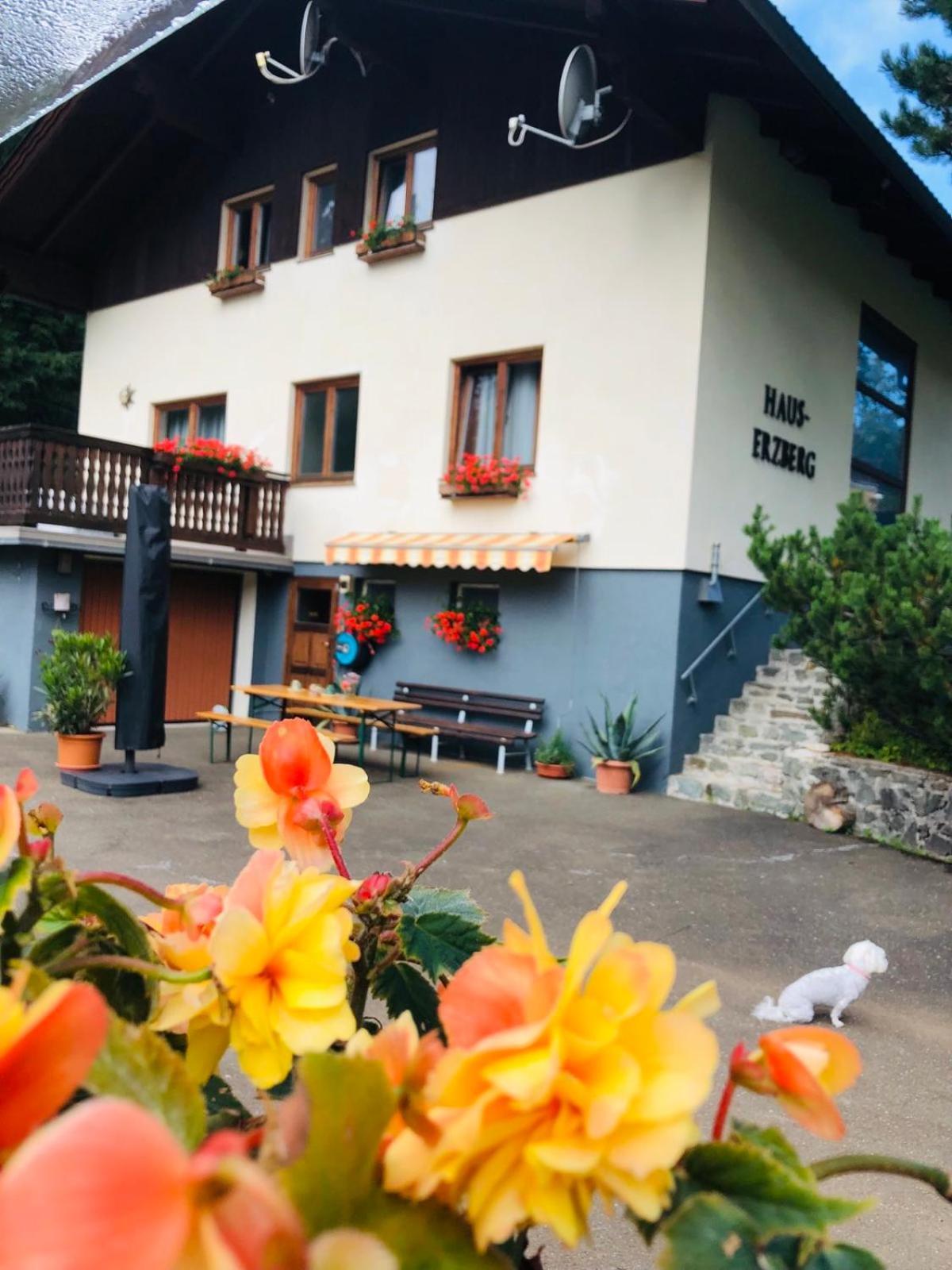 Bed and Breakfast Haus-Erzberg Vordernberg Exteriér fotografie