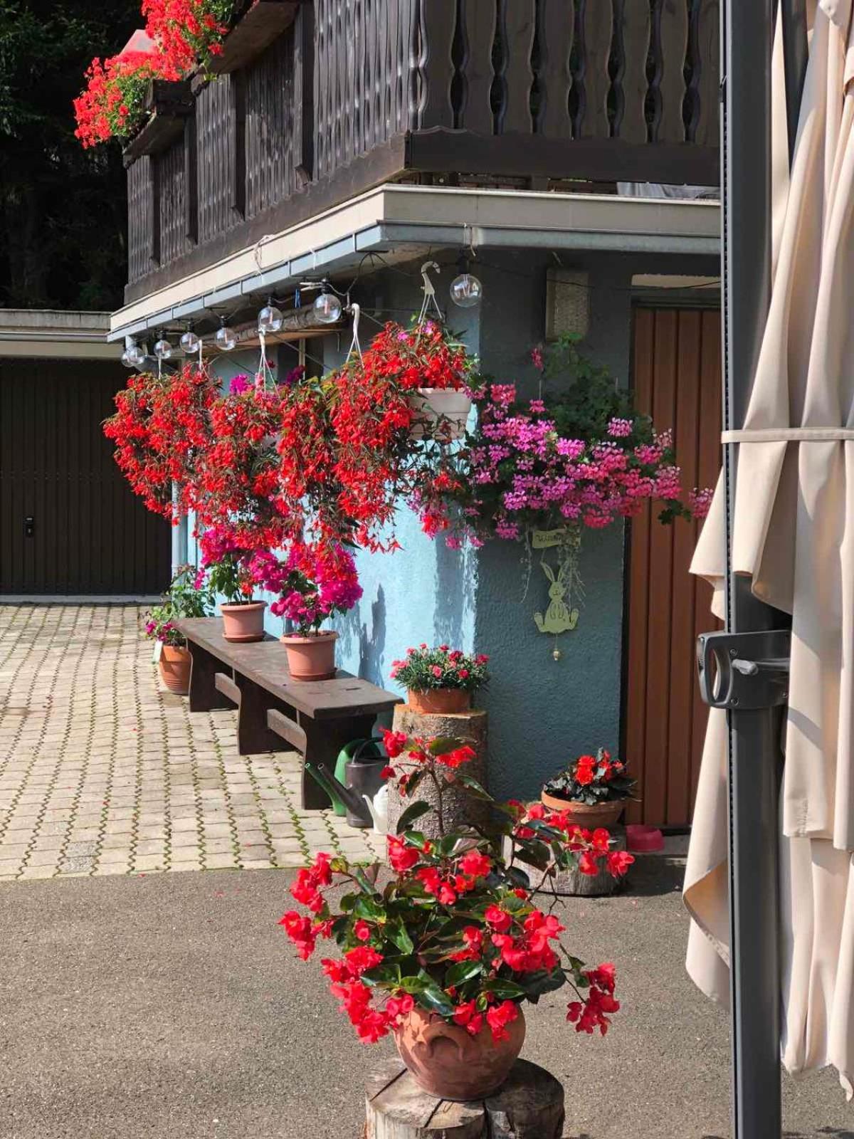Bed and Breakfast Haus-Erzberg Vordernberg Exteriér fotografie