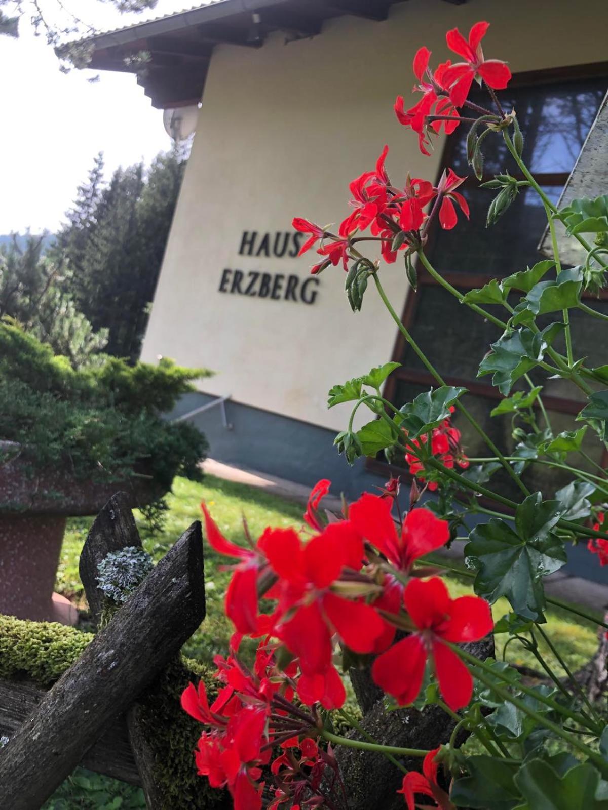 Bed and Breakfast Haus-Erzberg Vordernberg Exteriér fotografie